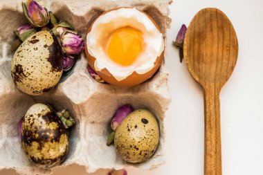 Haşlanmış tavuk yumurta Bıldırcın yumurta tepsi tahta kaşık kahvaltı beyaz yumurta