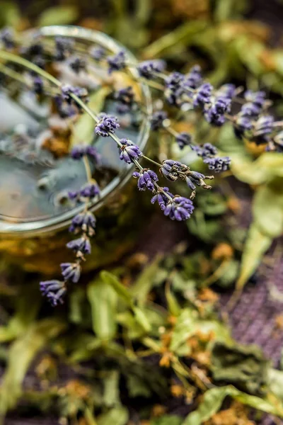 Copa Lavanda Provence Ultravioleta Aroma Ramo Vidrio Transparente Sabor Tradicional — Foto de Stock