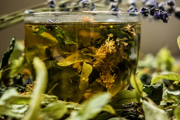 Fincan Çay Lavanta Provence Ultraviyole Aroma Buket Cam Saydam Tadı — Stok fotoğraf
