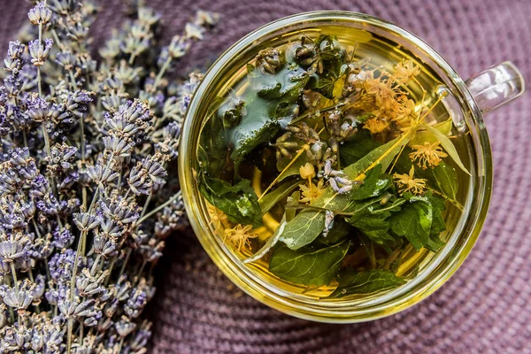 Copa Con Ramo Lavanda Púrpura Ultravioleta Provence Tradicional Sabor Medicinal — Foto de Stock