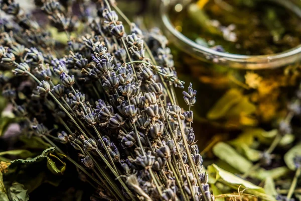 Copa Con Ramo Lavanda Púrpura Ultravioleta Provence Tradicional Sabor Medicinal — Foto de Stock