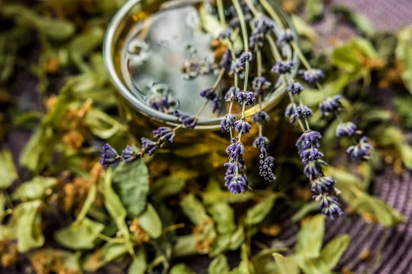 Taza Lavanda Provence Vidrio Ultravioleta Púrpura Sabor Transparente Aroma Útil — Foto de Stock