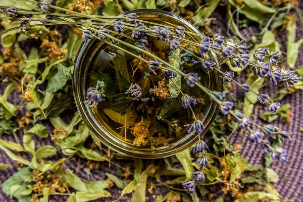 Taza Lavanda Provence Vidrio Ultravioleta Púrpura Sabor Transparente Aroma Útil — Foto de Stock