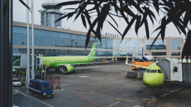 Moskova / Rusya - 18 Eylül 2020: Domodedovo Havaalanı 'nın dışı. Uçbirim penceresinden görüntüle. Kontrol kulesi, kapılarda ve yer araçlarında yeşil uçaklar. Kenarlarında bulanık koyu yapraklar var..