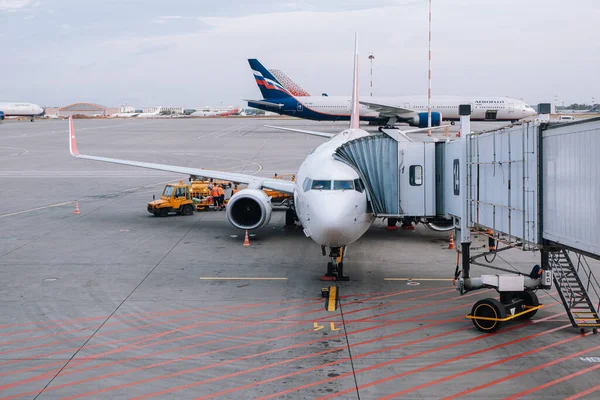 Moskova / Rusya - 18 Eylül 2020: Boeing 737-800 Sheremetyevo Havaalanı Terminali D terminalinin kapısında diğer uçaklar park halindedir..