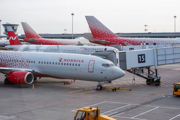 Moskova / Rusya - 18 Eylül 2020: Boeing 737-800 Rossiya Havayolları Sheremetyevo Havaalanı Terminali D..