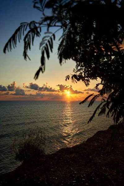 Deniz kenarındaki ağaçlar ve deniz feneri