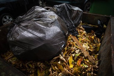 Sonbaharda yağmur sırasında siyah plastik torbalar ve yaprakları ile eski çöp kutusu