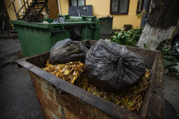 Old trash bin with black plastic bags and leaves during rain in autumn
