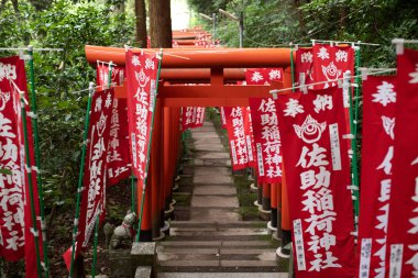 Kamakura, Japonya: Sasuke Inari Tapınağı Kamakura 'da bir Shinto tapınağı ve Kamakura' nın Saklı Köyü 'nün yeri. 
