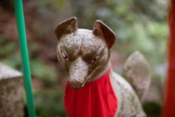 Statua Kitsune Presso Santuario Sasuke Inari Santuario Shintoista Kamakura Sito — Foto Stock