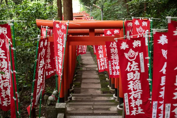 Камакура Япония Храм Сасукэ Инари Храм Синто Камакуре Место Скрытой — стоковое фото