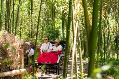 Kimonolu yaşlı Japon bir çift, Arashiyama Bambu Korusu 'nda triportör kullanıyor. Kyoto' nun en gözde manzaralarından biri, Japonya.