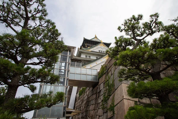 Castelo Osaka Japão Castelo Dos Marcos Mais Famosos Japão Desempenhou — Fotografia de Stock