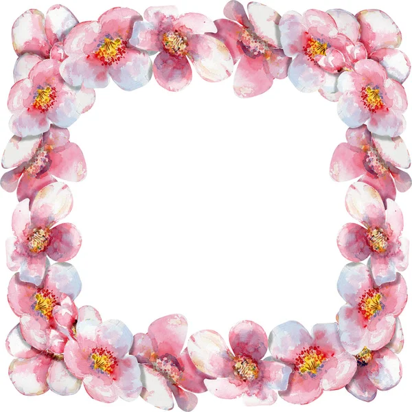 Krásný Rámeček Cherry Blossomon Bílým Pozadím Akvarel — Stock fotografie
