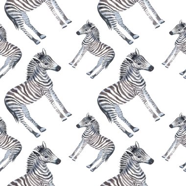 El ile Seamless Modeli beyaz bir arka plan üzerine suluboya zebras boyalı.