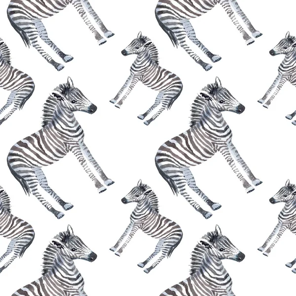 El ile Seamless Modeli beyaz bir arka plan üzerine suluboya zebras boyalı.