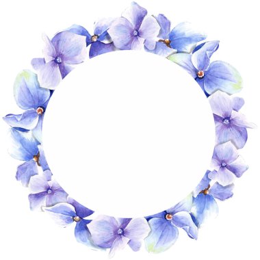 Beyaz bir arka plan üzerine suluboya mavi ortancaları çelenk el ile boyalı.