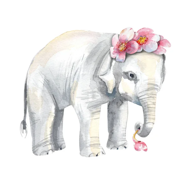 白い背景に小さな象と桜が咲いています 水彩で手描き分離ストックイラスト — ストック写真