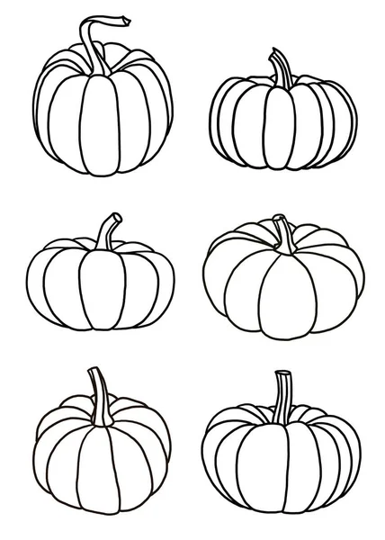 Six Pumpkins Isolated White — Stock Photo, Image