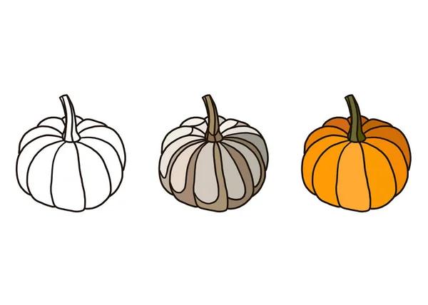 Pumpkin Illustration Isolated White — Stock Photo, Image