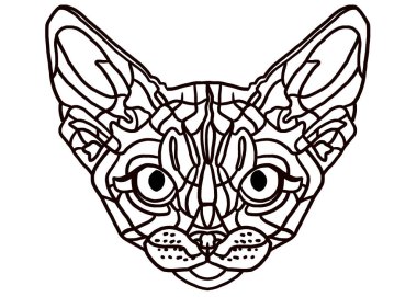 kedi baş illüstrasyon izole beyaz