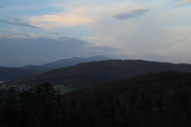 Dağlar ormanıyla kaplı. Ön planda ağaçlar vardır
