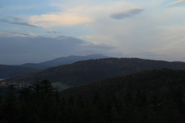 Montagnes Couvertes Forêt Les Arbres Sont Premier Plan — Photo