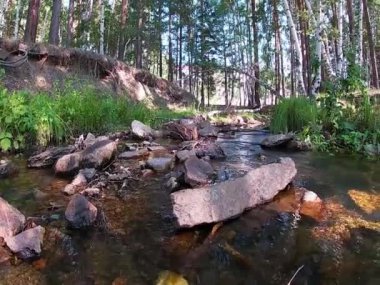 Kayaların arasında güzel bir orman deresi akıyor.