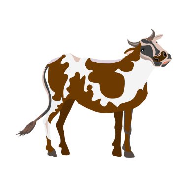 İnek vektör çizim. İnek düz çizim