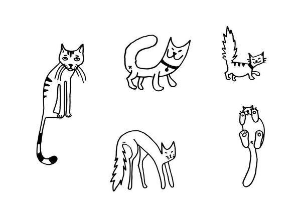 Кошачья векторная иллюстрация. Симпатичная кошачья рука
