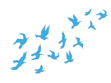 Uçan kuşlar illüstrasyon vektör