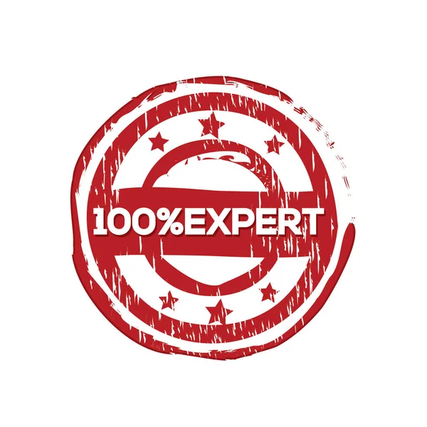 100 Procent Expert Vektor Stämpel — Stock vektor