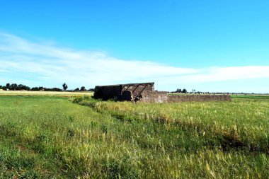 harika manzara ile bir alanda bulunan taş tarafından inşa edilmiş harap ve terk edilmiş kırsal ev