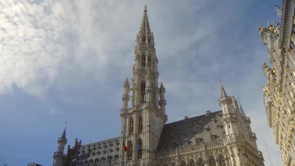 Stadhuis van Brussel — Stockvideo