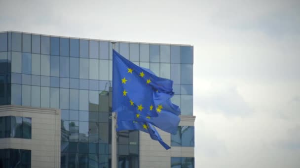 Bandiere dell'UE dell'edificio del PE a Bruxelles — Video Stock
