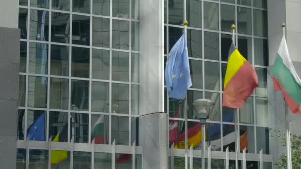 Flaggen der EU-Mitgliedsstaaten in Brüssel — Stockvideo