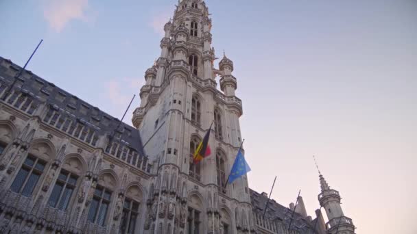 Regard vers la mairie de Bruxelles — Video