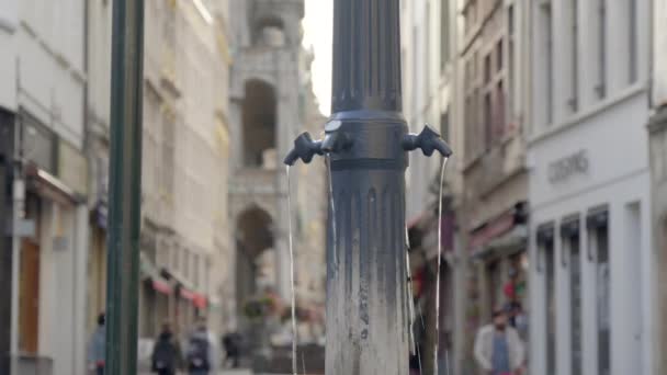 Allmän dricksvattenfontän i Bryssel — Stockvideo