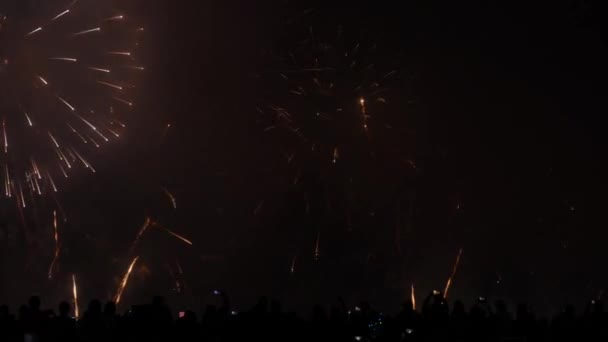 Exibição de fogo de artifício em câmera lenta — Vídeo de Stock