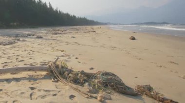 Net Dolaşık Driftwood