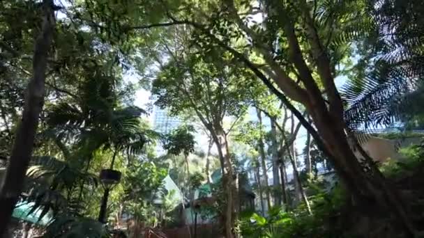 Blick in einen Stadtpark — Stockvideo