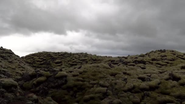 Mossy rock formatie in IJsland — Stockvideo