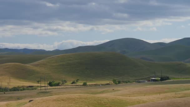 Zvlněné zelené kopce v Kalifornii — Stock video