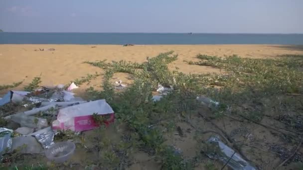 Відстеження по підстилці на пляжі — стокове відео