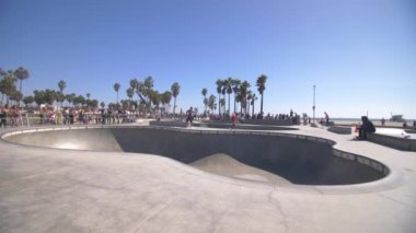 Venice Beach Paten Bowl