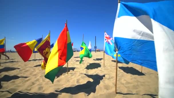 Ulusal Bayraklar Ile Yürüyüş — Stok video