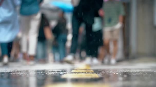 Regenachtige Trotwalk in Seocho-dong — Stockvideo