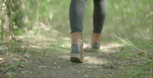 Laag niveau shot van wandelen op Country track — Stockvideo