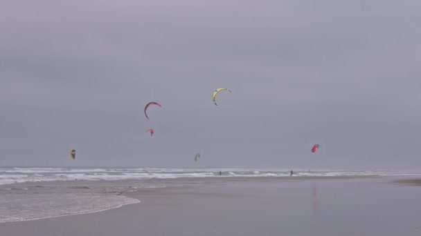 Kitesurfinty na pláži — Stock video